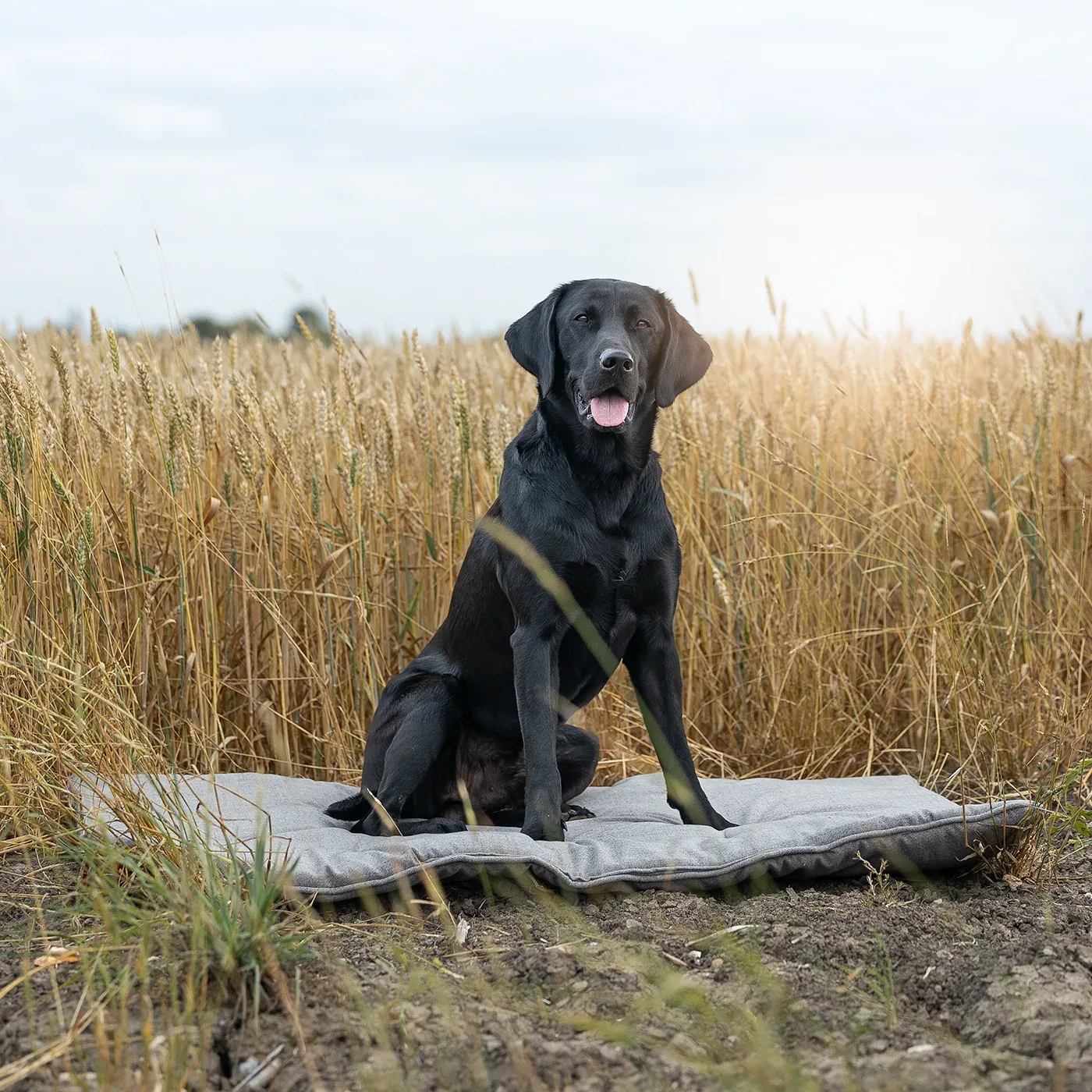 Travel Mat In Inchmurrin Ground by Lords & Labradors