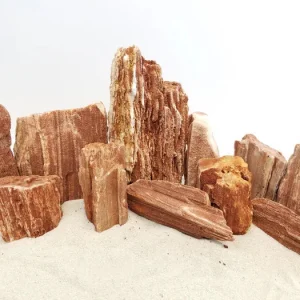 Redwood Petrified Stone Kit