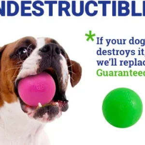 RuffDawg Indestructible Ball - Lifetime Guarantee!