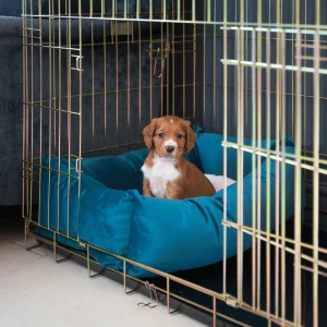 Dog Crate with Cosy & Calming Puppy Crate Bed in Marine Velvet by Lords & Labradors