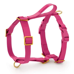 Active Flex Dog Harness - With Handle (M/L), Dahlia