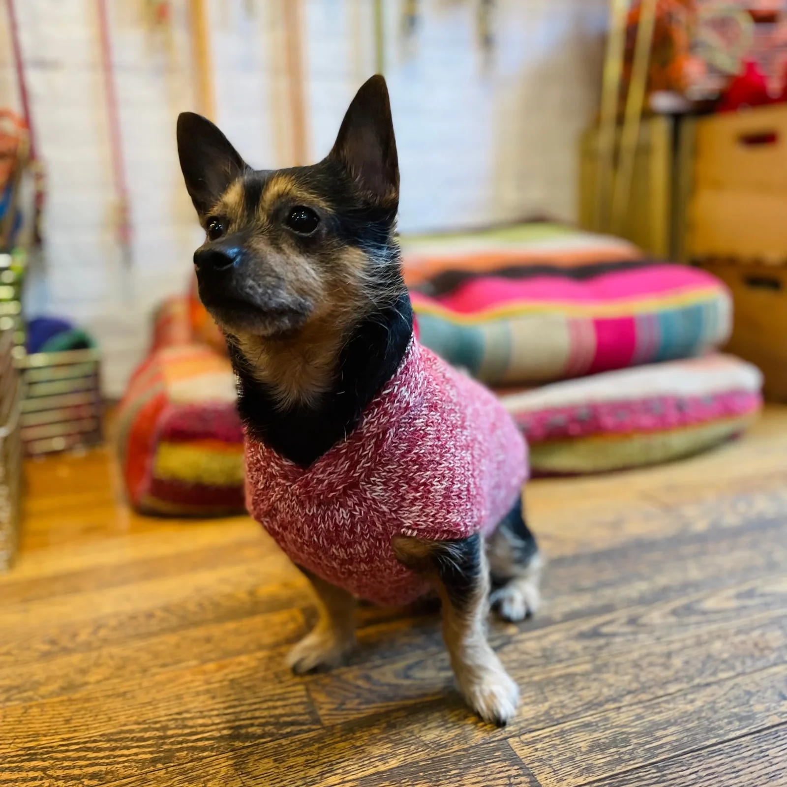 Major Shawl Collar Sweater - Marled Red - Image 2