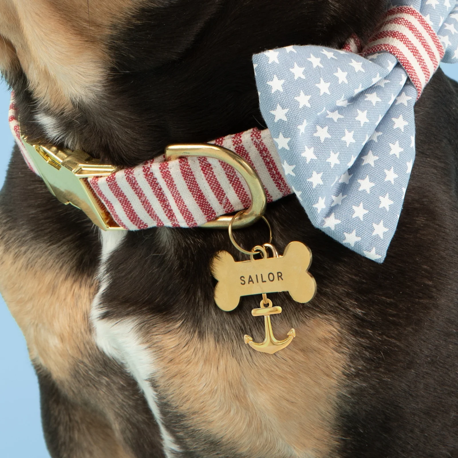 Anchors Away Collar Charm Set - Image 2