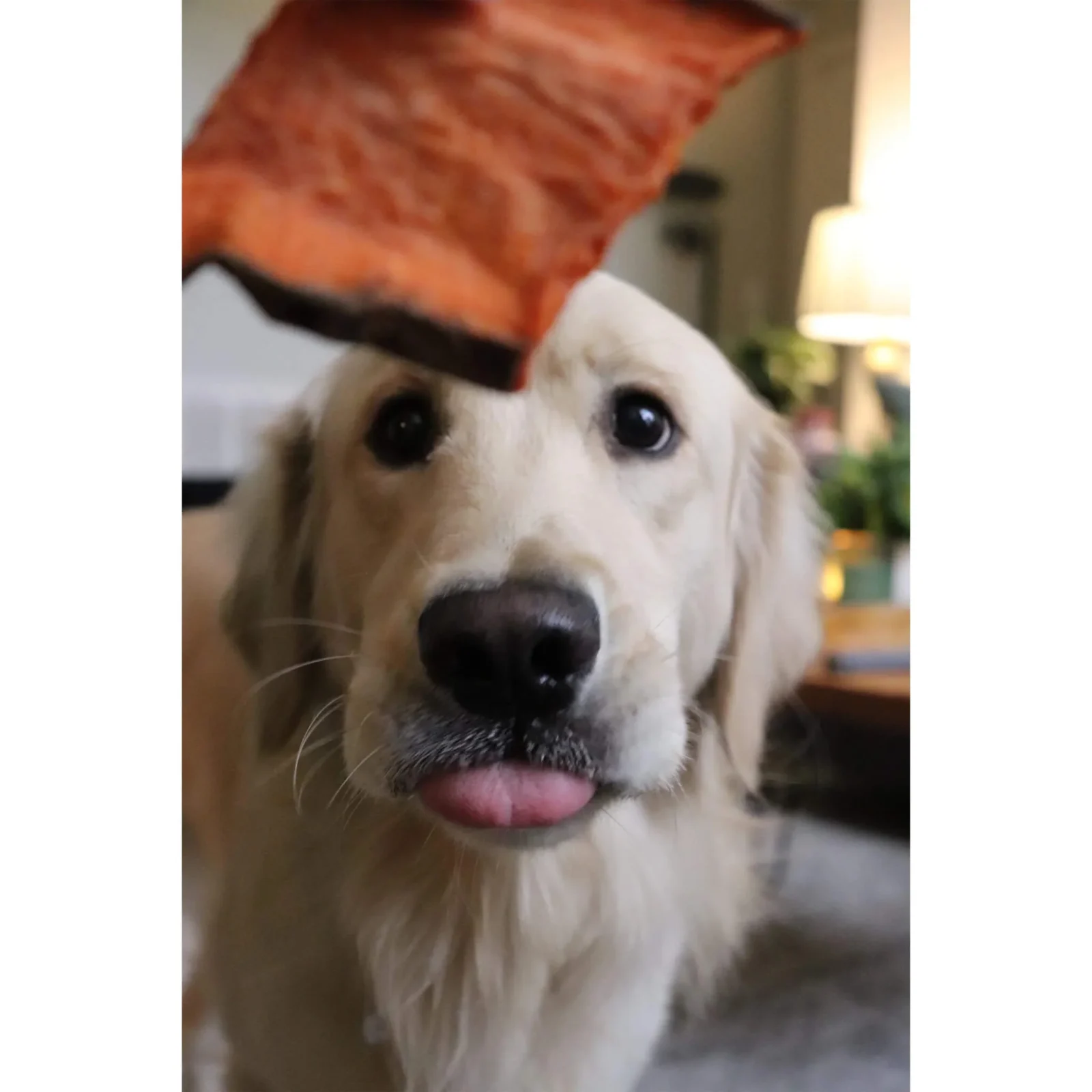 Gaines Family Farmstead Sweet Potato Chews for Dogs - Image 2