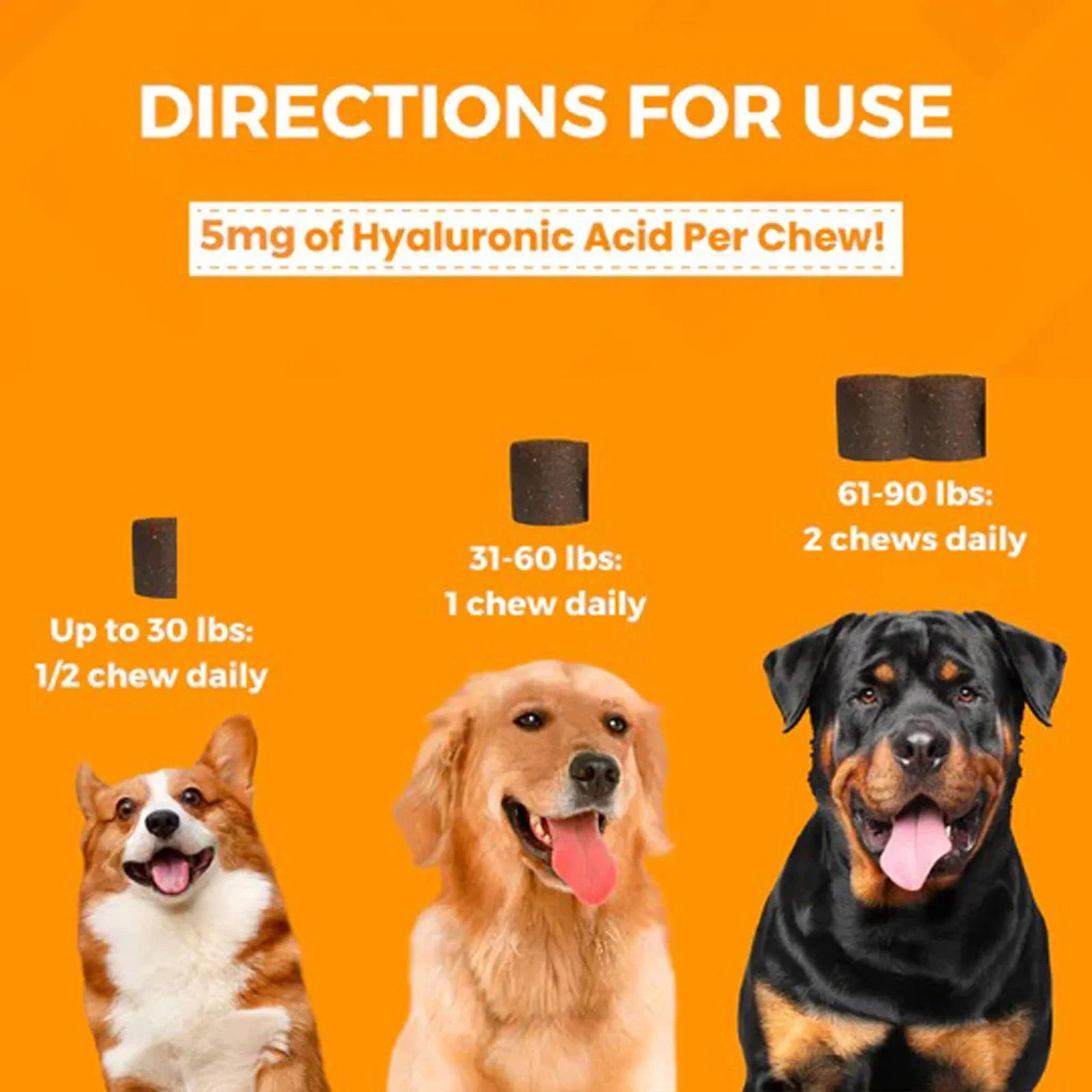 Nootie Progility Hip & Joint Supplement for Dogs - Image 2