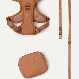 Go! With Ease Leash Bundle