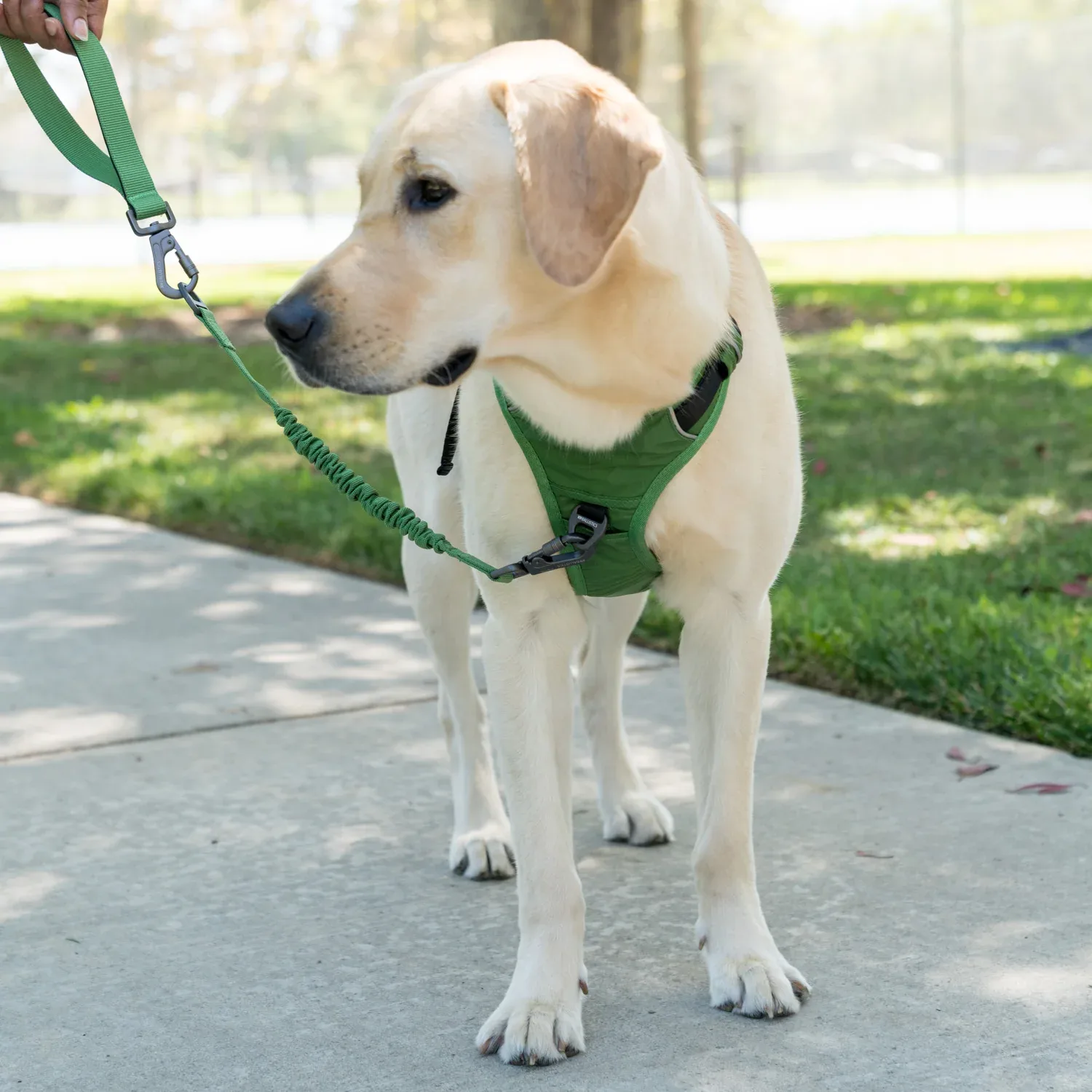 K9 Everyday™ Dog Harness - Image 2