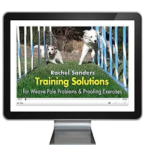 Clean Run Training Solutions for Weave Pole Problems & Proofing Exercises