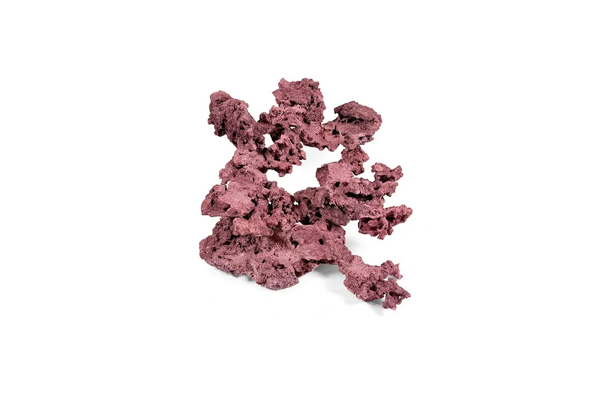 Reef Rock Showpiece (RRS024)