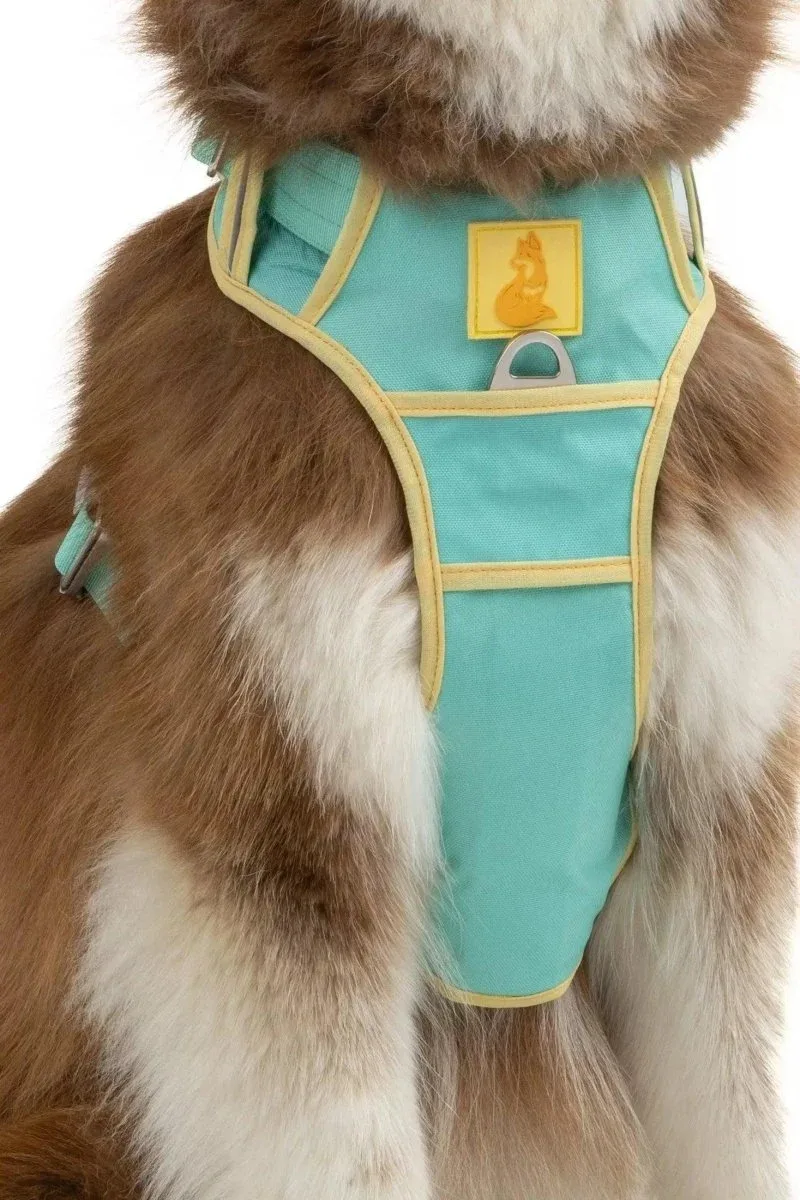 Island Vibes Ultimate Dog Harness - Image 2