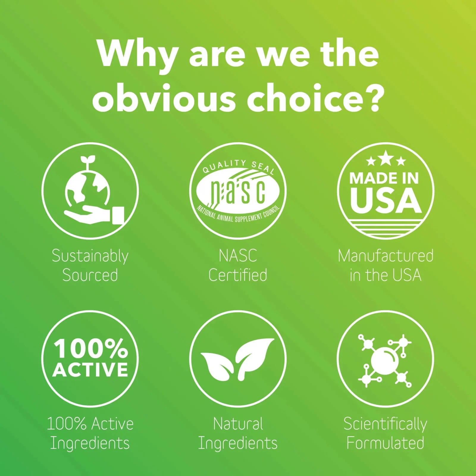 In Clover Allergy Powder Supplement for Dogs & Cats - Image 2