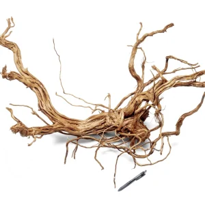 Ancient Wood Showpiece (AW011)
