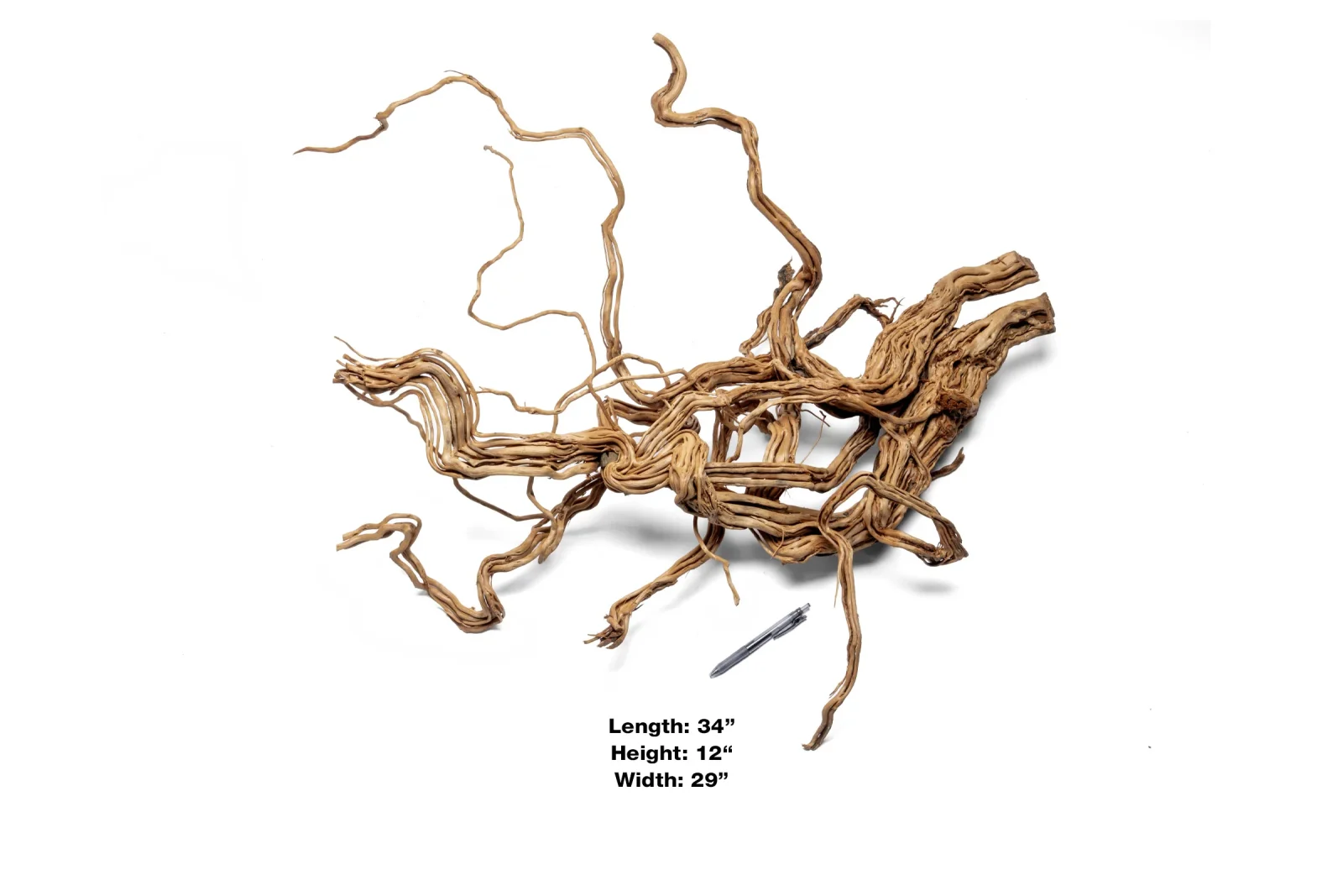 Ancient Wood Showpiece (AW010) - Image 2