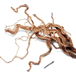 Ancient Wood Showpiece (AW010)