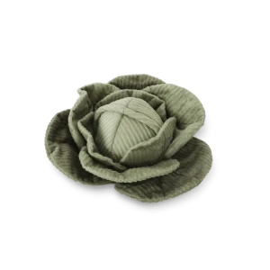 Cabbage POP