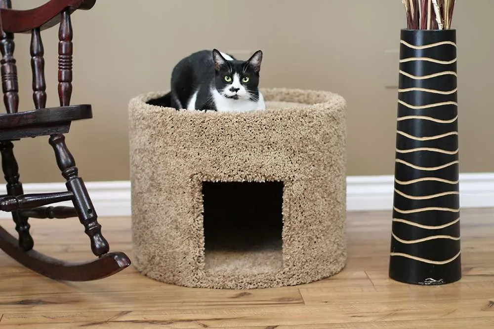 Extra Large Cat House for Large Cats | Solid Wood Indoor Cat House