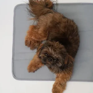 Thera-Pawz Warming Pad