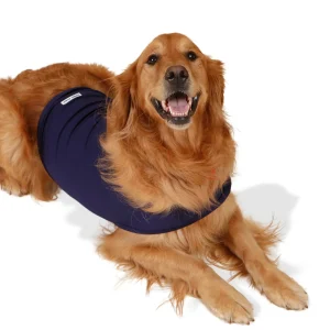 Calm Dog Vest