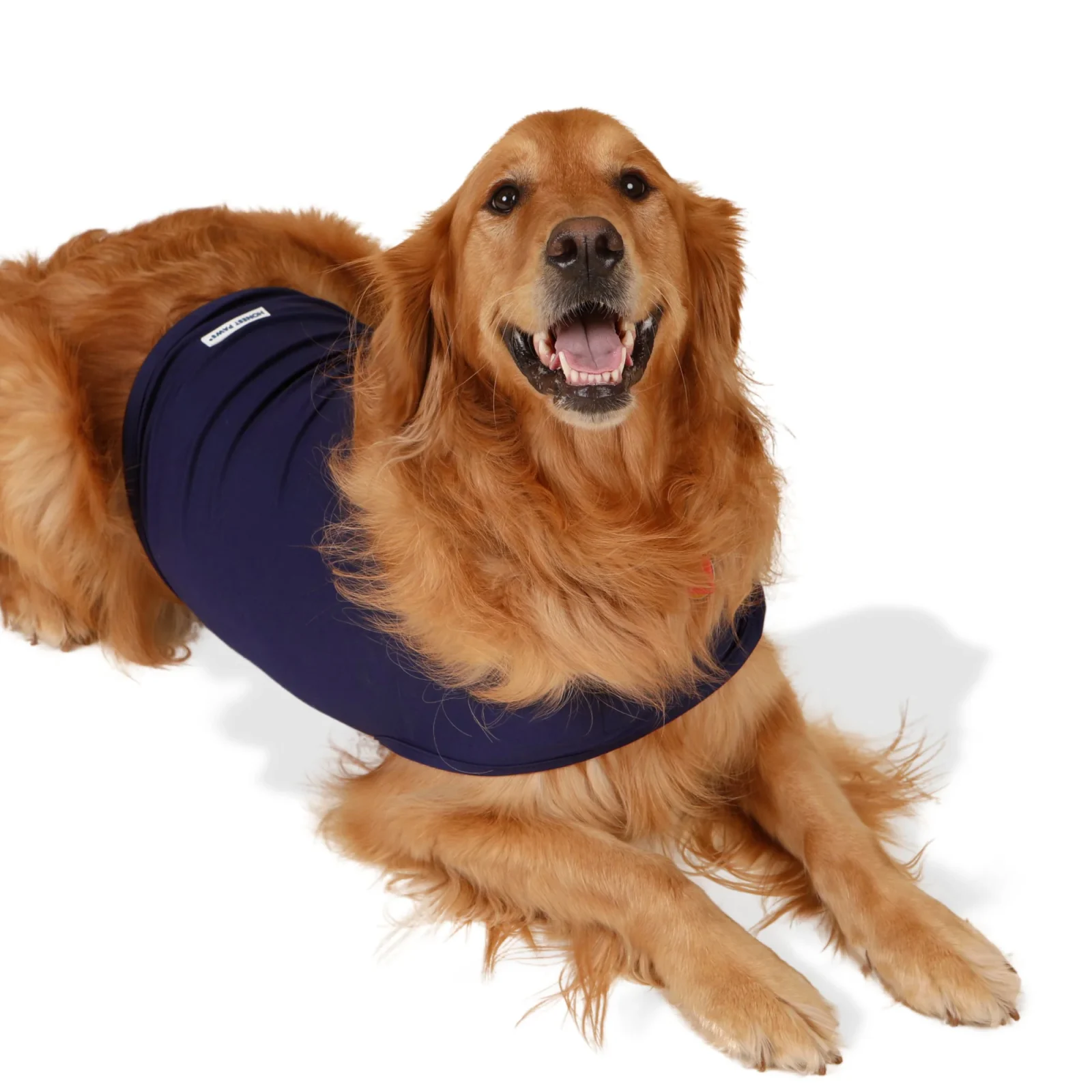 Calm Dog Vest