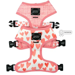 Reversible Dog Harness