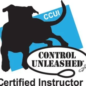 Clean Run Control Unleashed Instructor Certification Program - CCUI