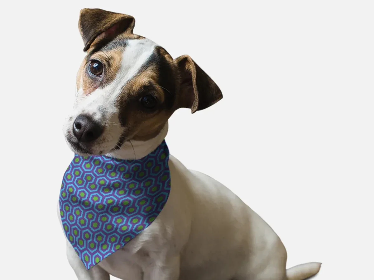 1960's Retro Style Dog Bandana, BanDoggie