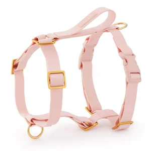 Active Flex Dog Harness - With Handle (M/L), Shell