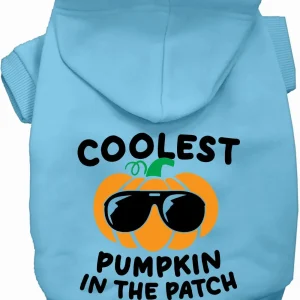 Coolest Pumpkin Halloween Pet Hoodie