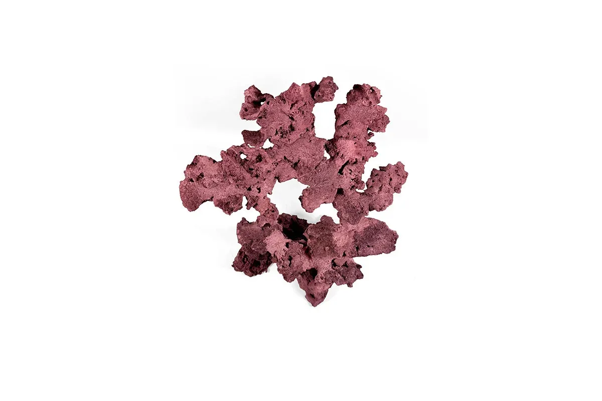 Reef Rock Showpiece (RRS022) - Image 2