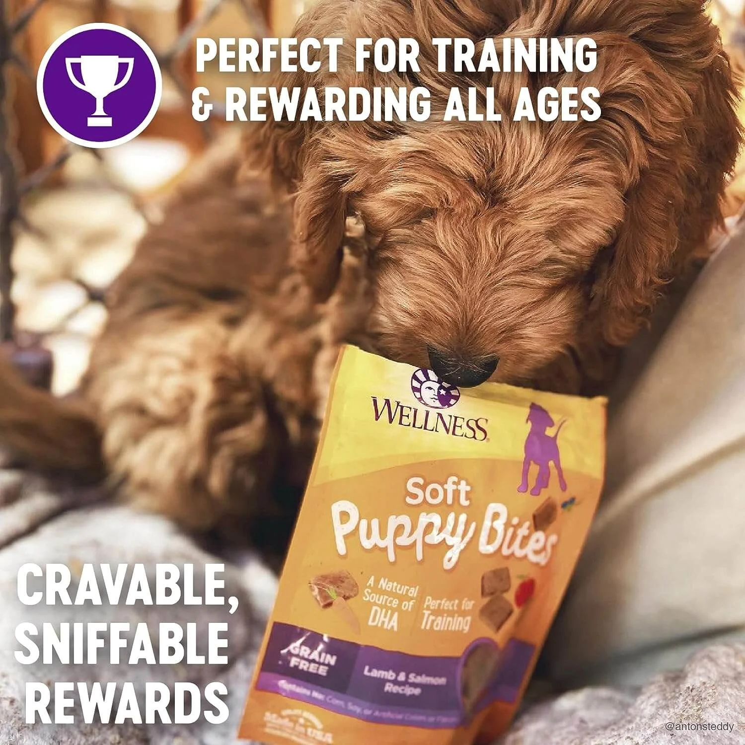 Wellness Just For Puppy Treats - Image 2