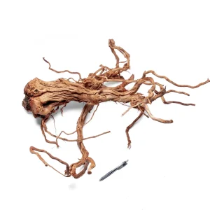 Ancient Wood Showpiece (AW014)