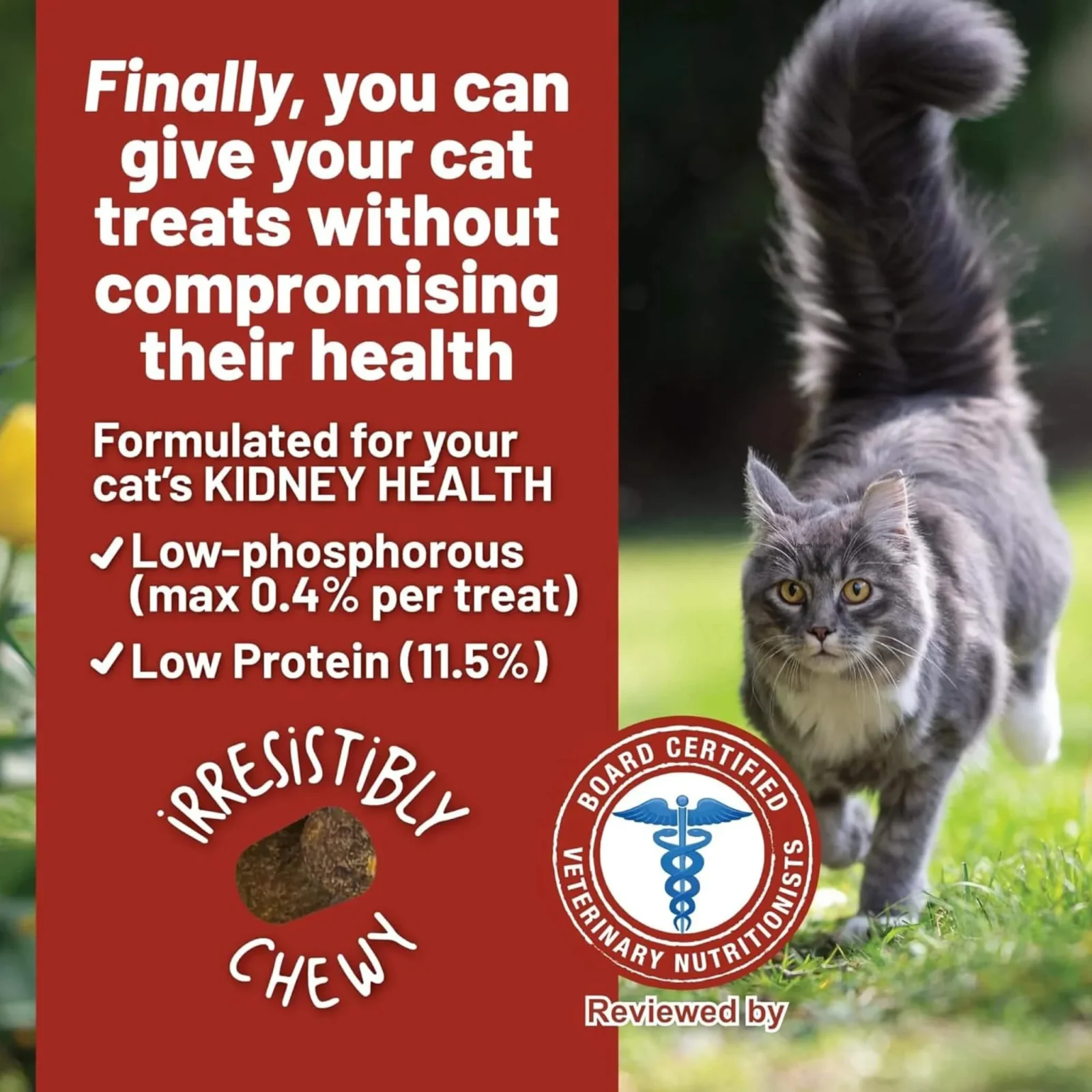 Dave's Pet Food Renal Friendly Cat Treats - Image 2