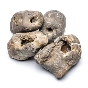 Ash Stone