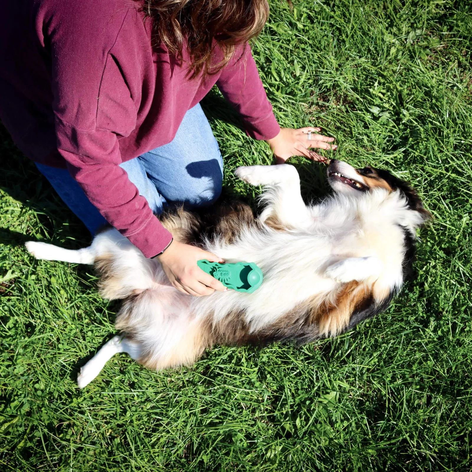 PetKore GroomBug Rubber Grooming Brush for Dogs - Image 2