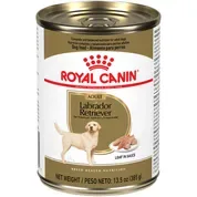 Royal Canin Breed Health Nutrition Labrador Retriever Adult Loaf in Sauce Wet Dog Food