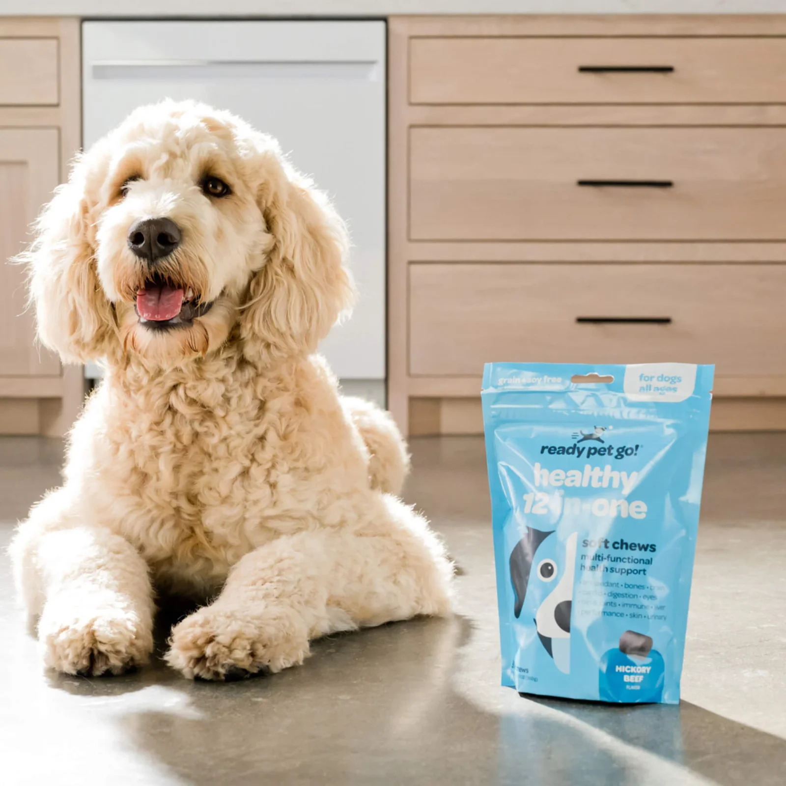 Ready Pet Go! Healthy 12-in-1 Multivitamin Supplement for Dogs - Image 2