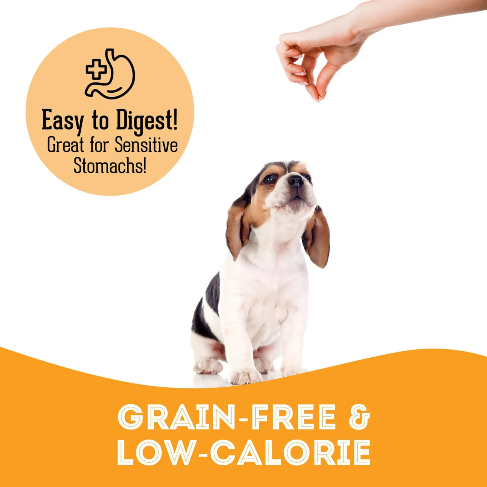 Pet Treatery Premium Soft & Chewy Dog Treats - Image 2