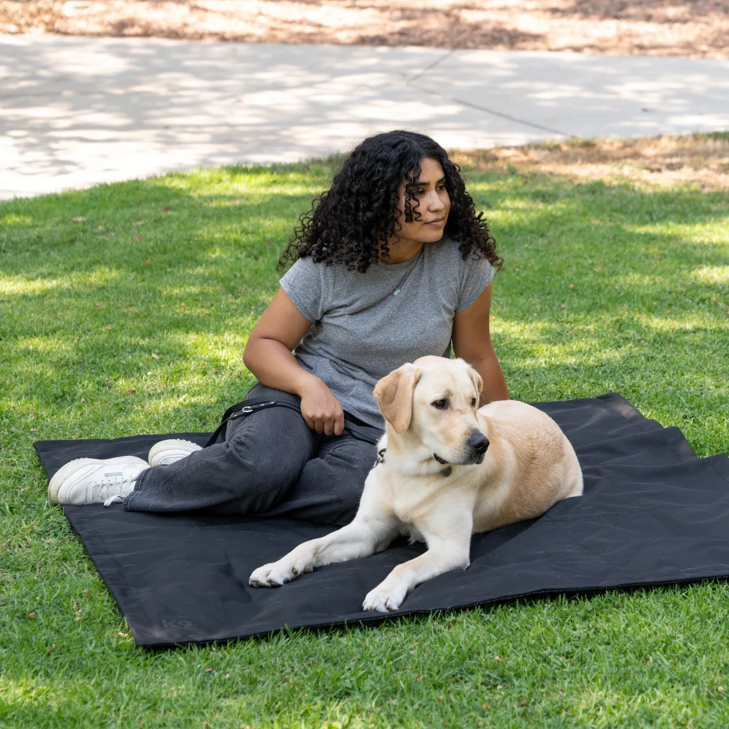 Tough Ripstop™ Portable Dog Tarp - Image 2