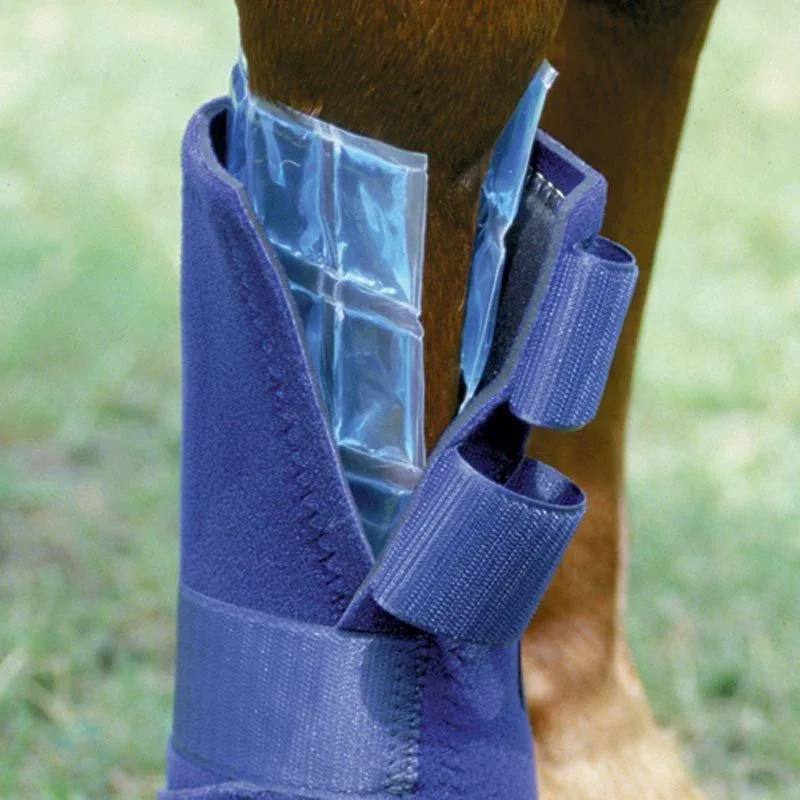 Professionals Choice Flexible Ice Cells