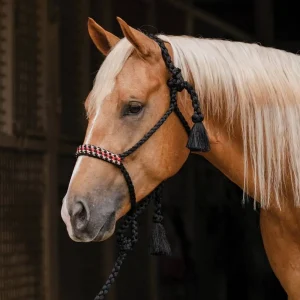 Professionals Choice Professional's Cowboy Braided Halter