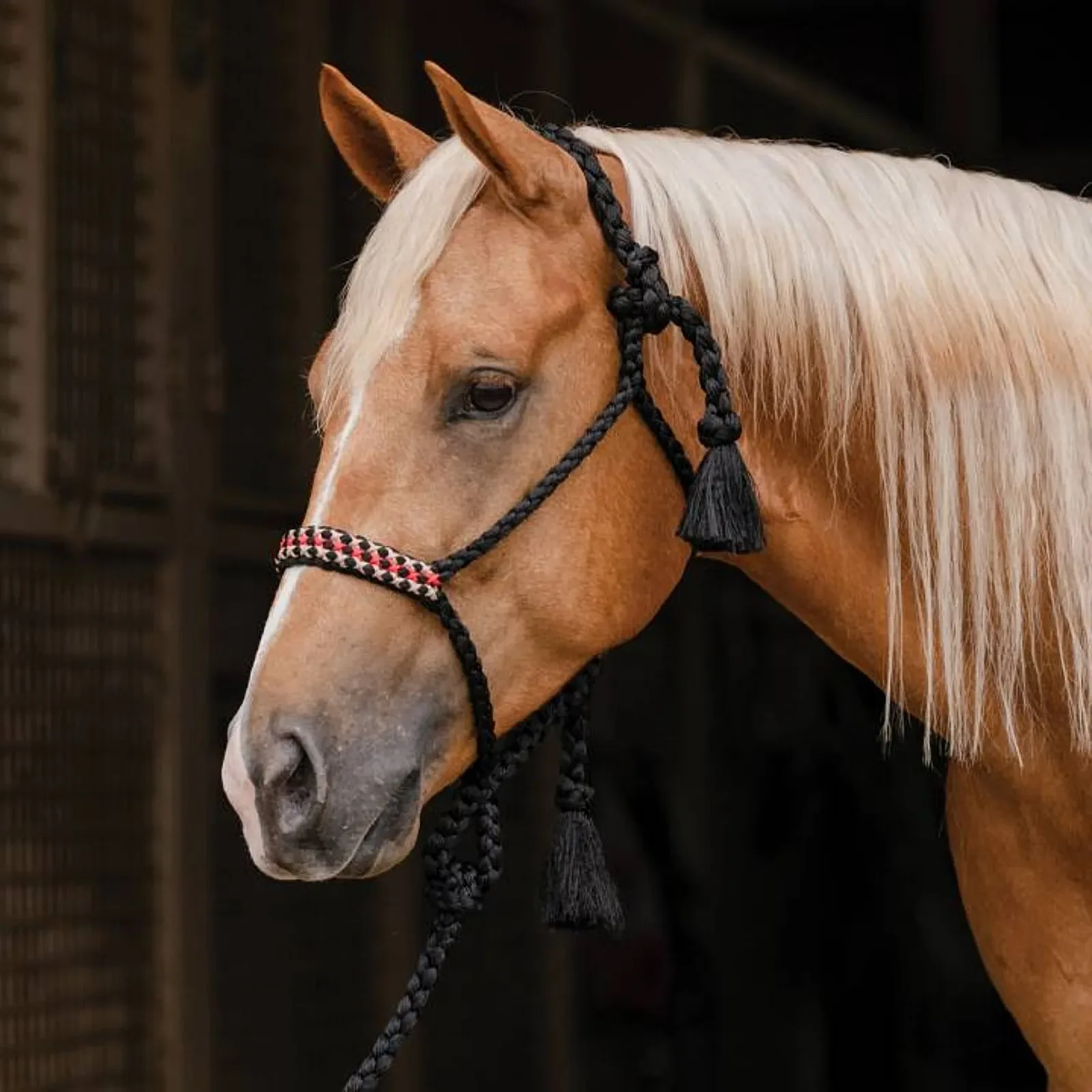 Professionals Choice Professional's Cowboy Braided Halter