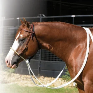Professionals Choice Rawhide Rope Noseband Loping Hackamore w/Reins