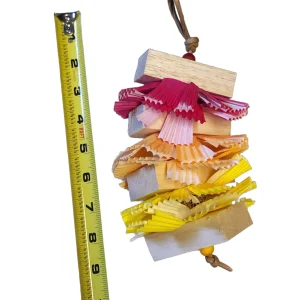 Rainbow Balsa Bird Toy