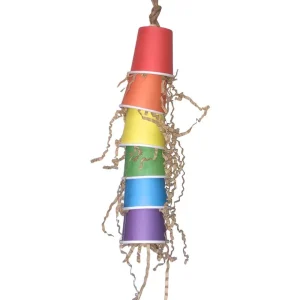 Rainbow Forage Cup Bird Toy
