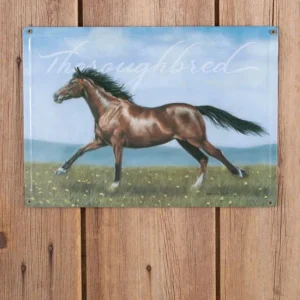 Rainbow Trading Horse Thoroughbred Tin Sign