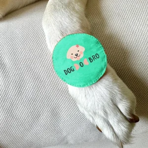 Raksha Bandhan Dog O Bro Rakhi for Dogs & Cats by Dogobow