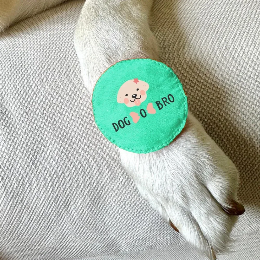 Raksha Bandhan Dog O Bro Rakhi for Dogs & Cats by Dogobow