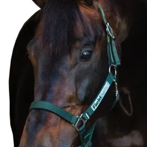 Rambo FIELDSAFE Safety Halter