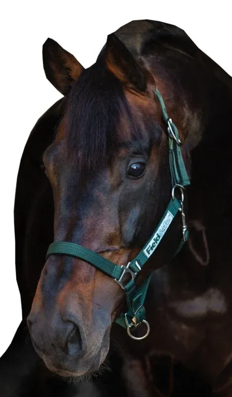 Rambo FIELDSAFE Safety Halter