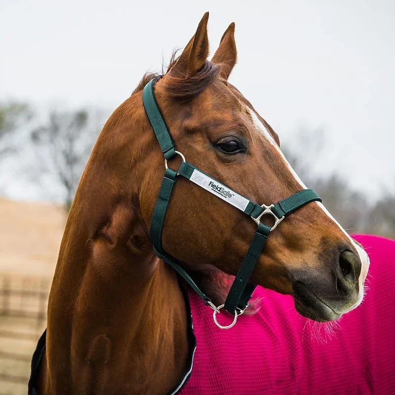 Rambo FIELDSAFE Safety Halter - Image 2